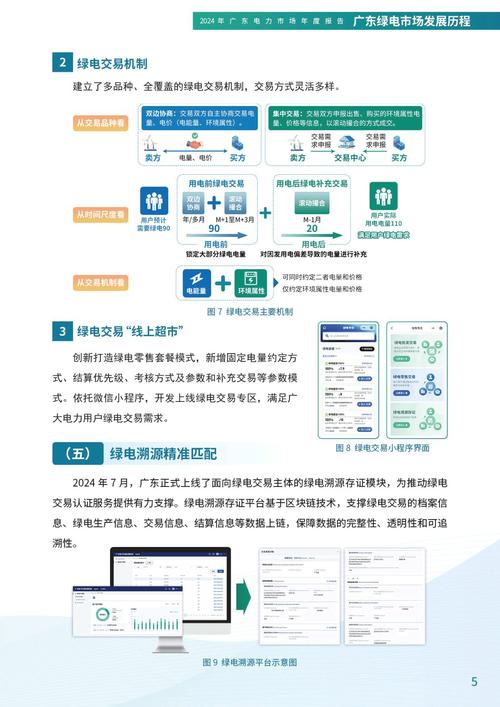 湛江网站与网络服务，现状、机遇与挑战