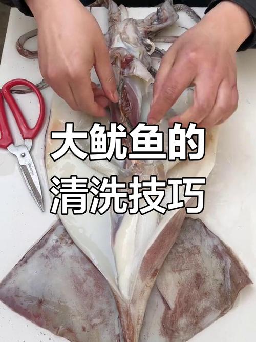 鱿鱼清理电脑需要多久？