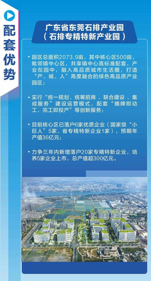 东莞整合网络营销，策略、实践与未来展望