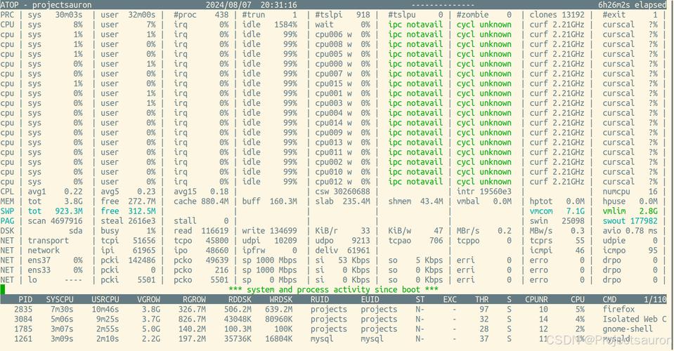双路cpu使用率低