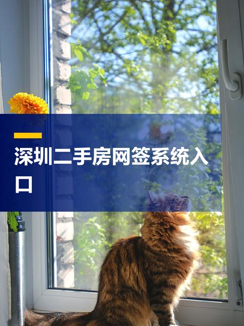 快手在线自助下单平台,抖音快手布局房产业务