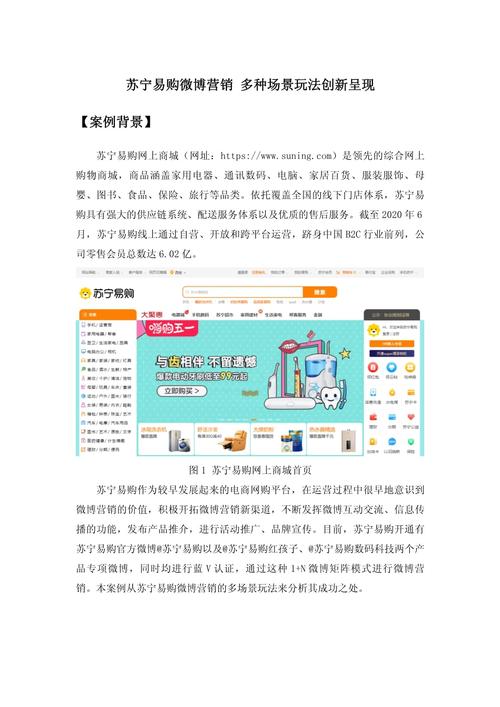 网络营销网站开发案例