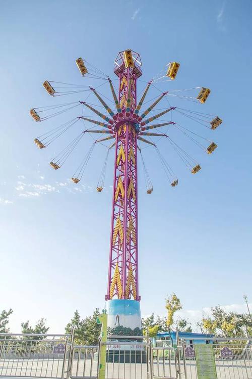 郑州飞翔网络科技怎么样