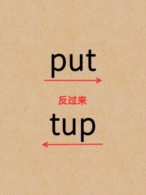 网络流行语put是什么意思