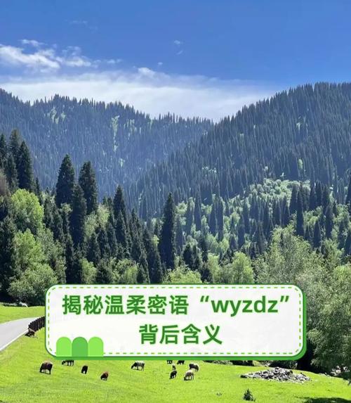 网络语言中的wy是什么意思