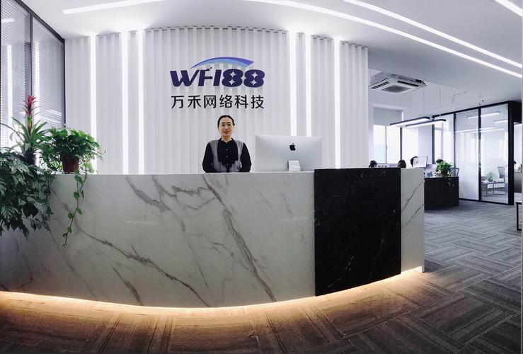 取网络公司名字万维