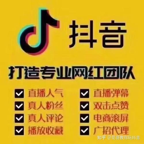 快手自助涨粉词语,代刷抖音粉丝平台