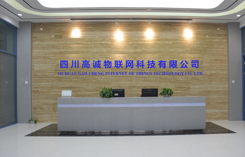 成都市网络公司有哪些