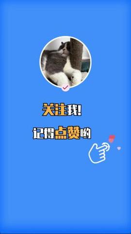 抖音刷赞平台代理,快手点赞关注业务