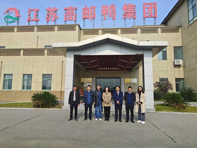 高邮企业网站建设公司