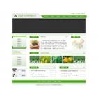 重庆网站建设尚智逢源