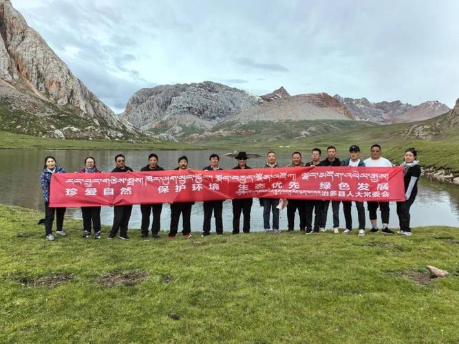 治多县网站建设公司