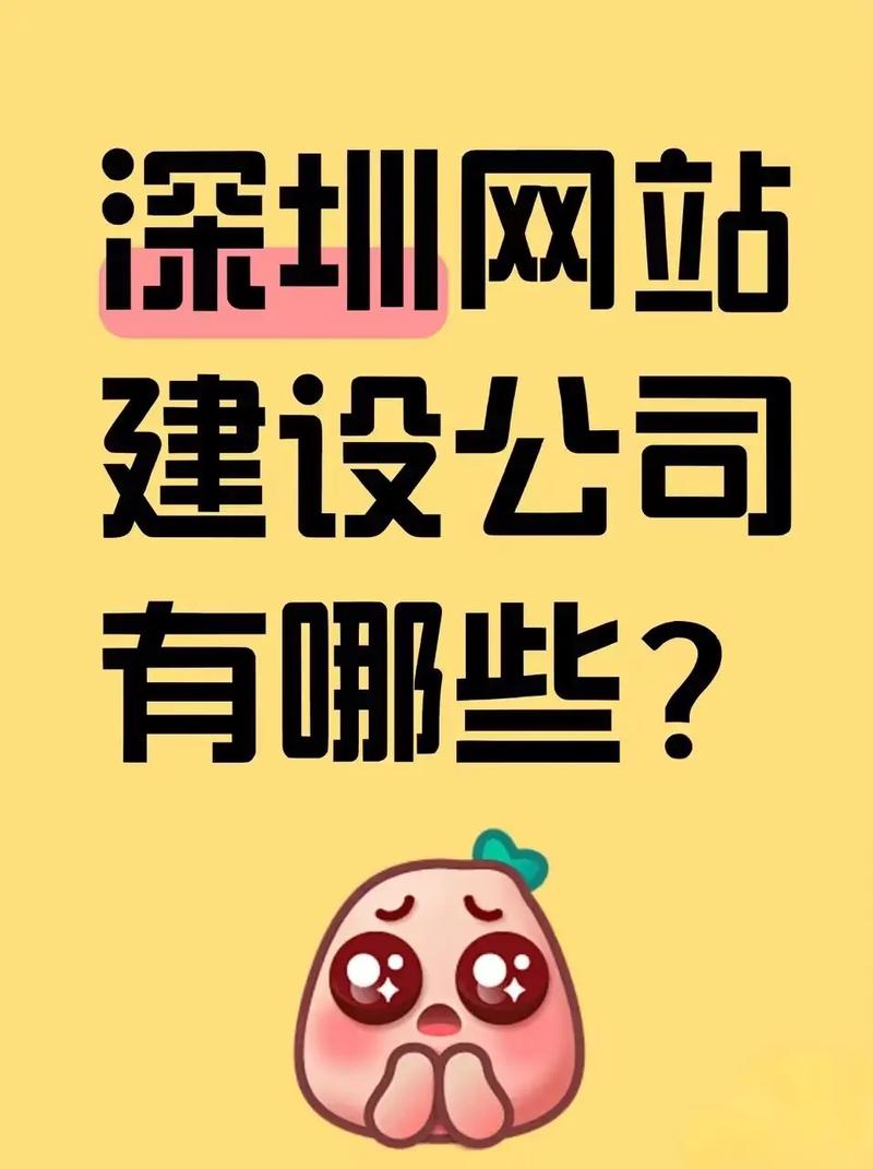 深圳建设网站公司简介