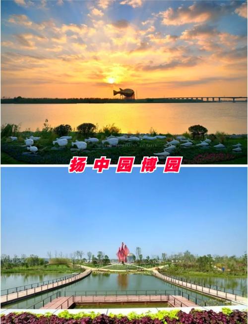 口碑好的扬中网站建设