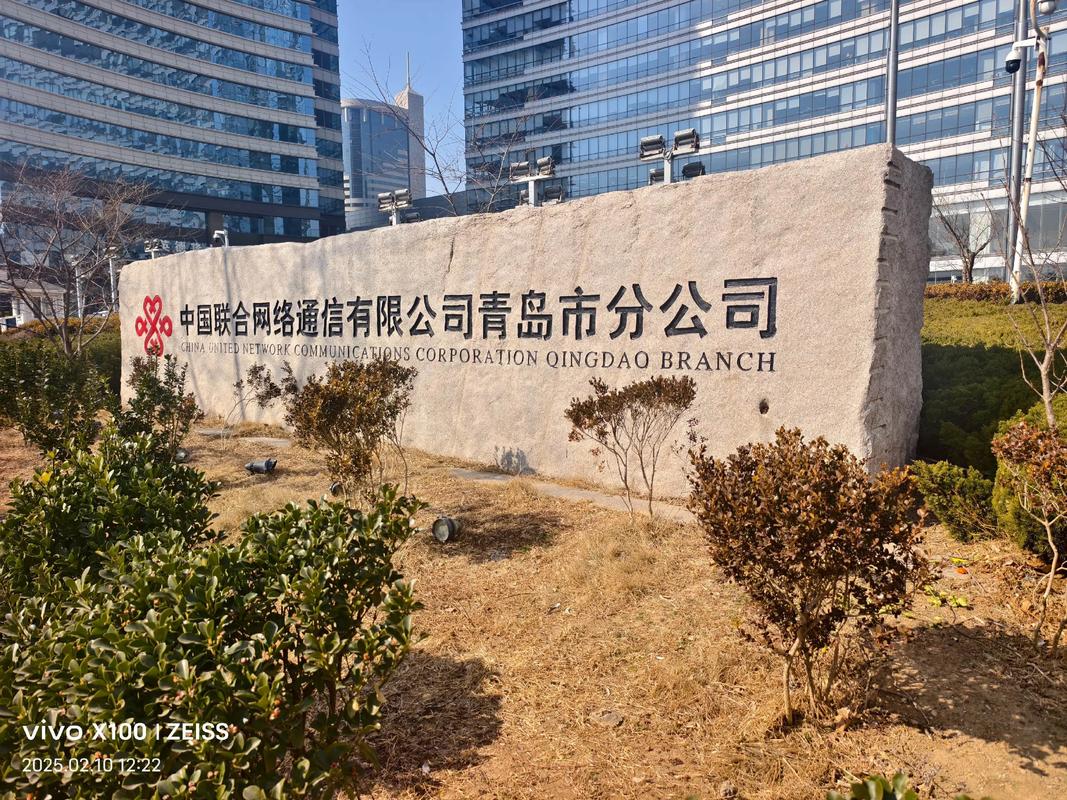 青岛信息网络有限公司