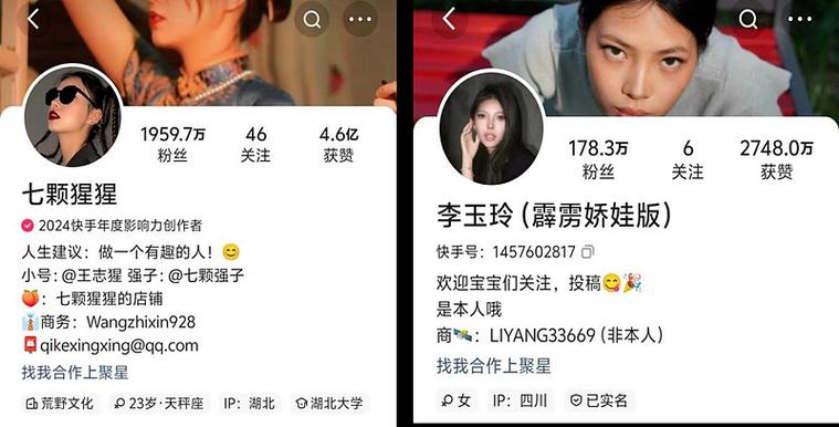 快手自助涨粉教程,快手蚂蚁秒刷业务平台