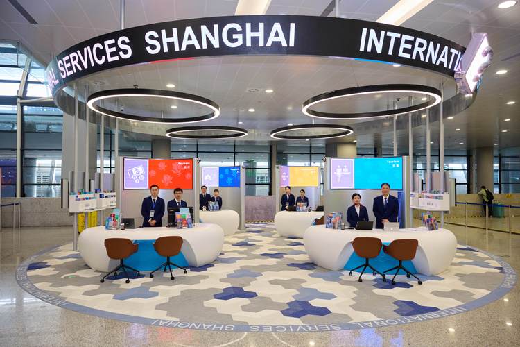 上海浦东服务网站建设