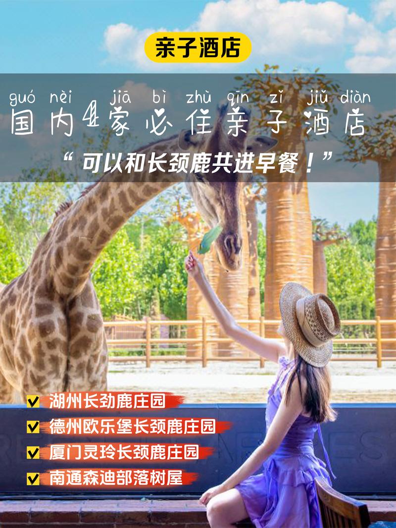 长颈鹿涨粉 自助平台,帮忙代刷抖音