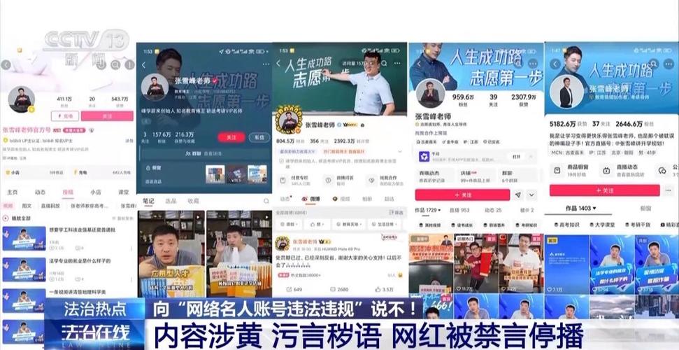 网聚抖音代刷网，快手业务真人直播人气