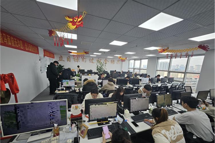 专注聊城最大网络公司