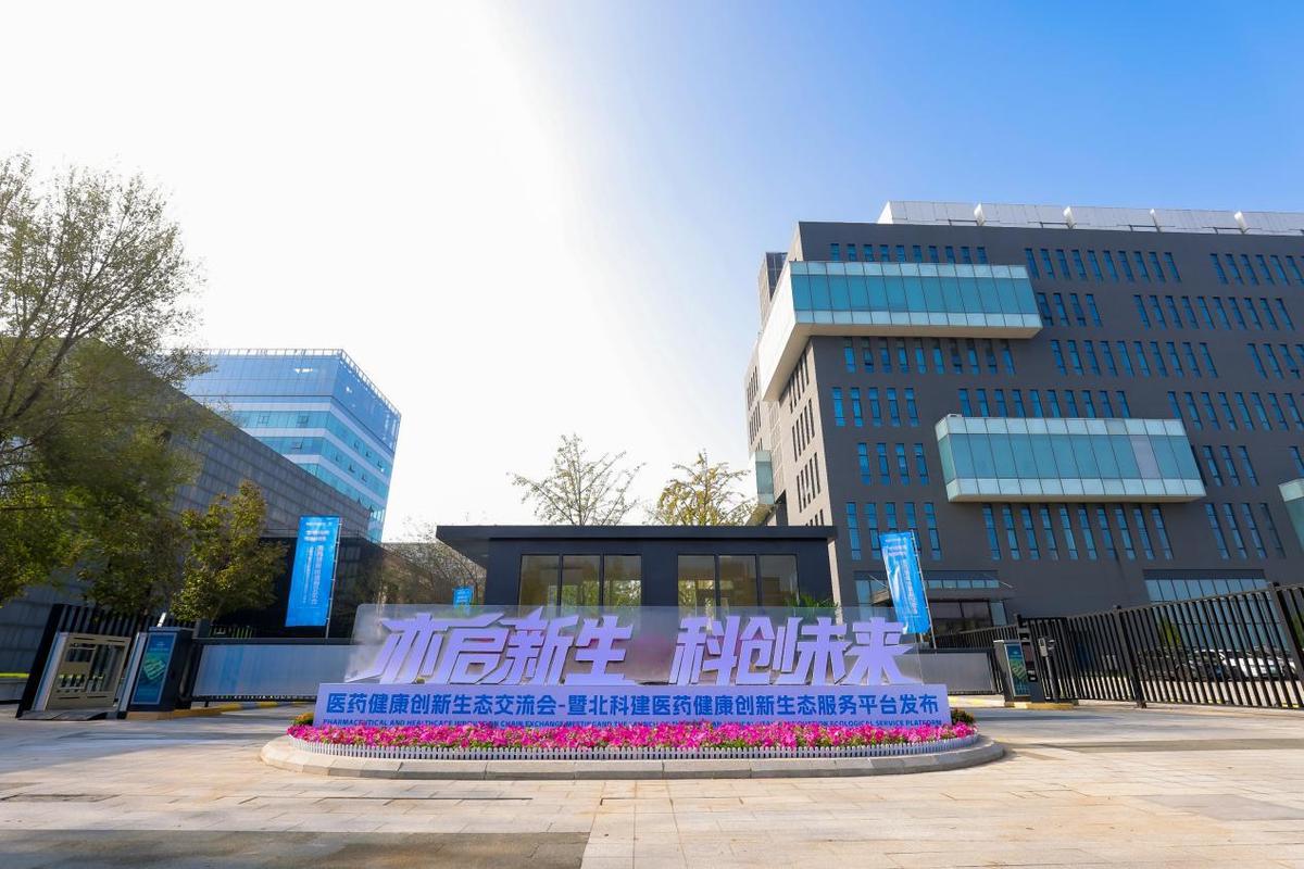 亦庄专业建设网站公司