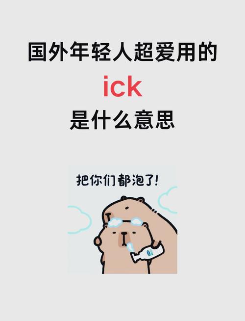 外国人猜网络流行语