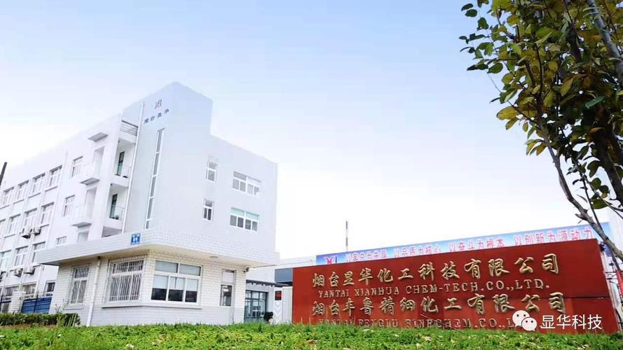 烟台网络科技公司排名