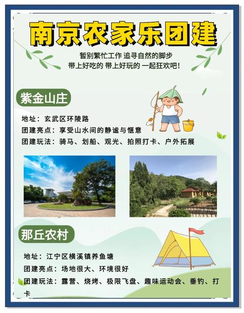 农家乐网站建设及费用