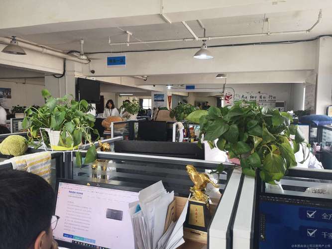 万盛网络推广是骗局吗