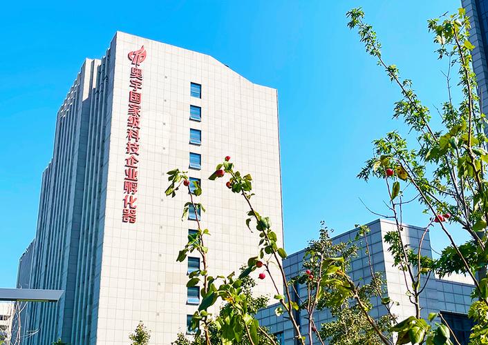 北京大型科技网络公司