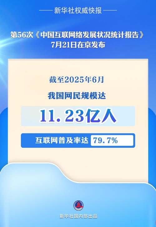 网络社会的兴起百度云