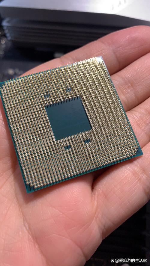 fm1 用什么cpu