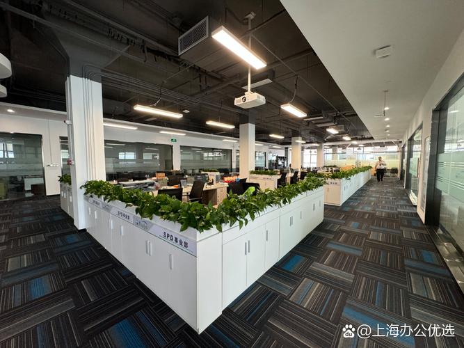 上海先状杰网络有限公司