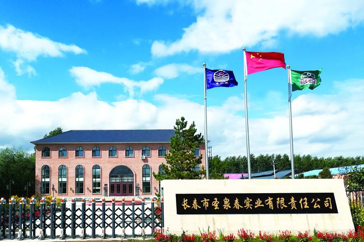 长春建设平台网站的公司