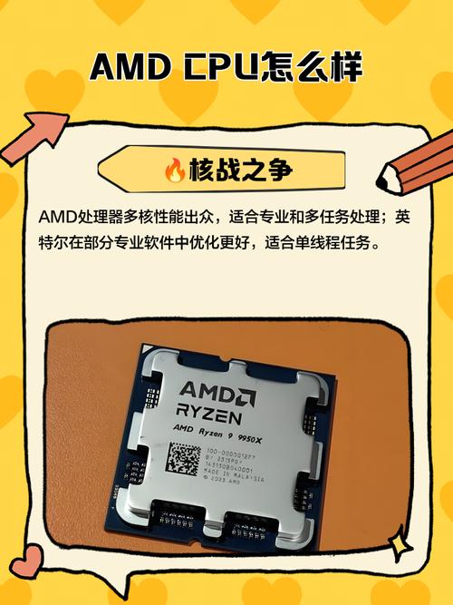 amd cpu为什么不能用
