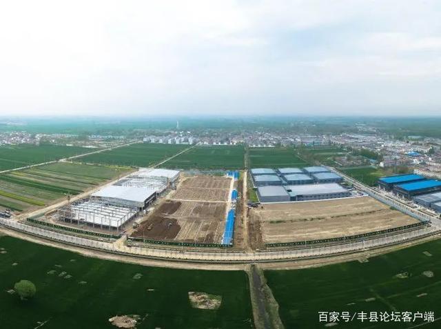 丰县微信网站建设公司