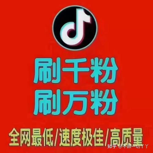 抖音数据粉代刷,快手直播和增值业务