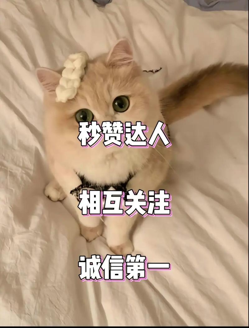 抖音刷赞平台互赞群,快手作品刷赞业务平台