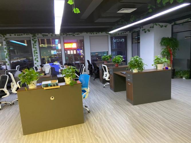 青岛市科技网络公司