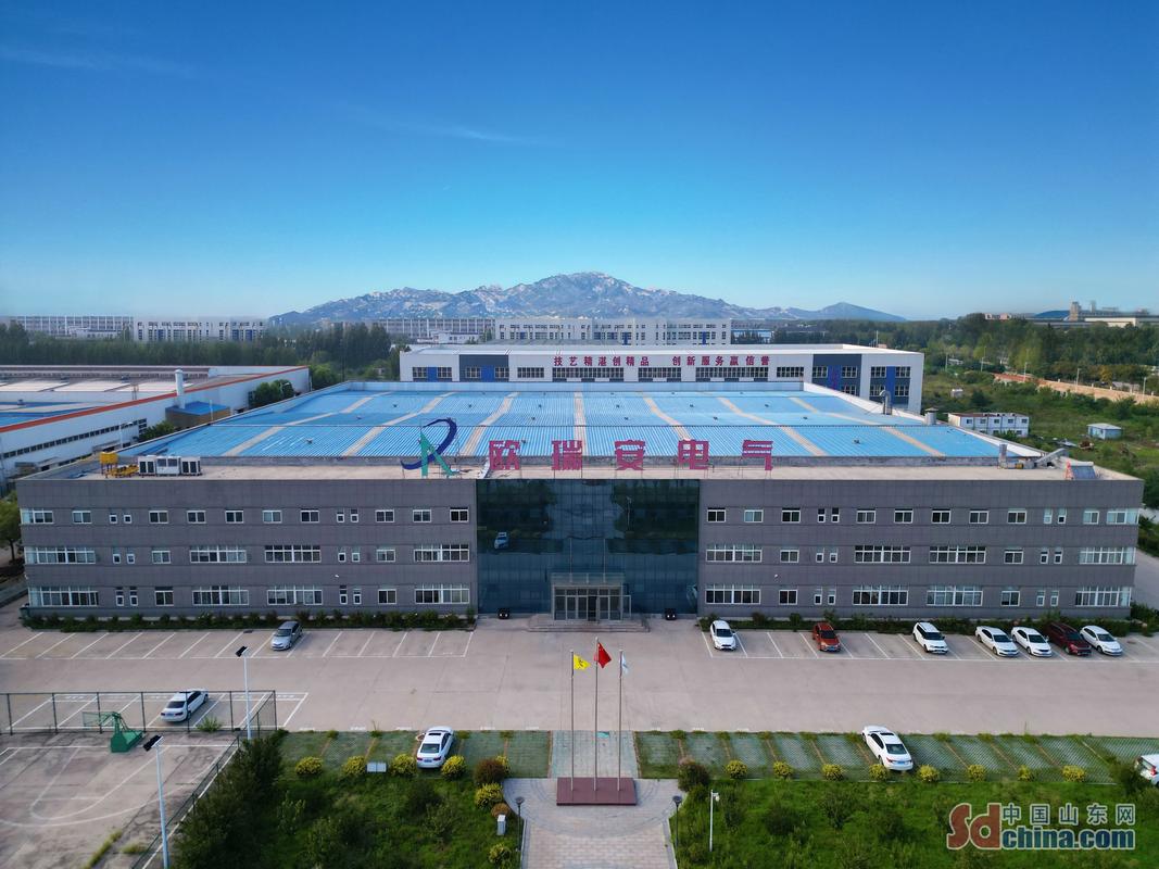 山东直销网站建设公司