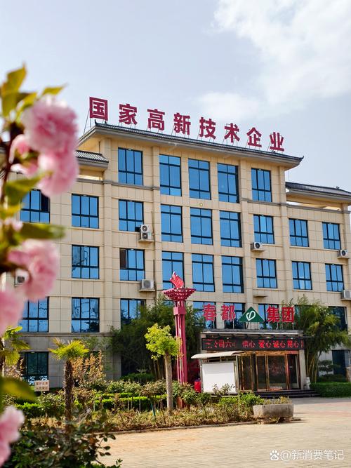 滕州国际网站建设公司