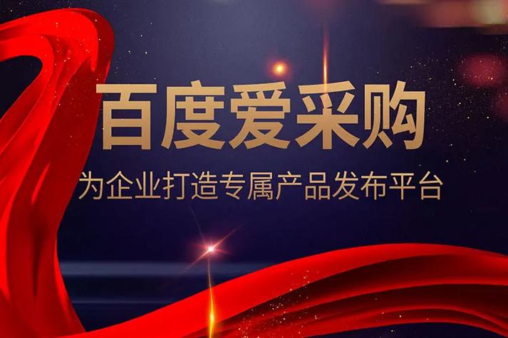 百度竞价做网站建设