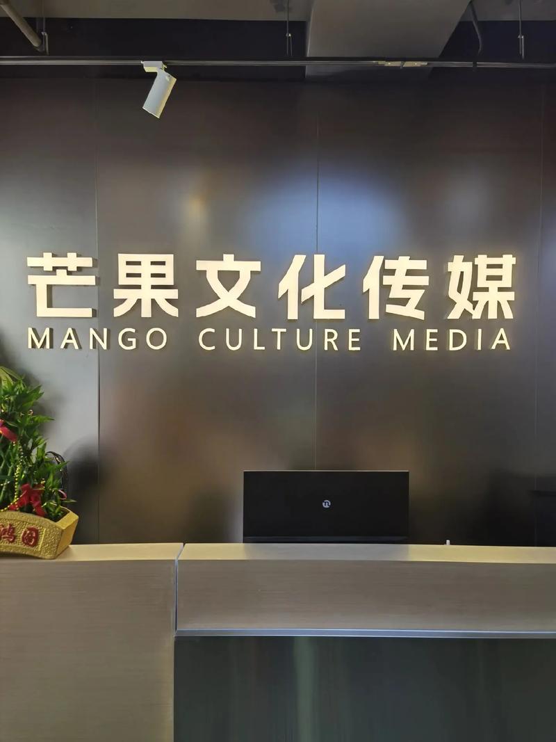 中甘网络传媒有限公司