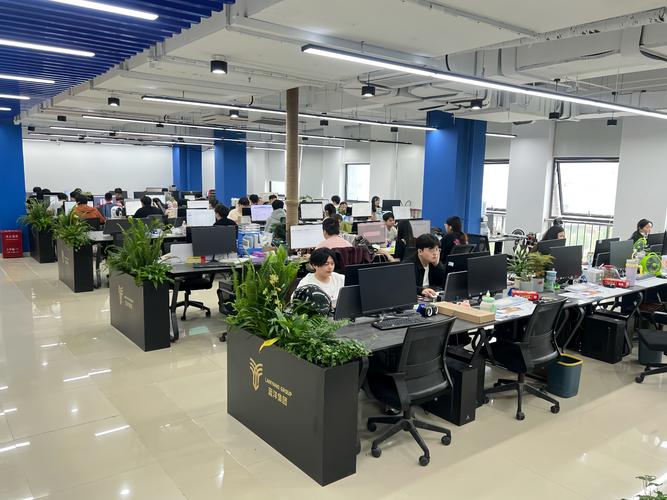 洋杯网络科技有限公司