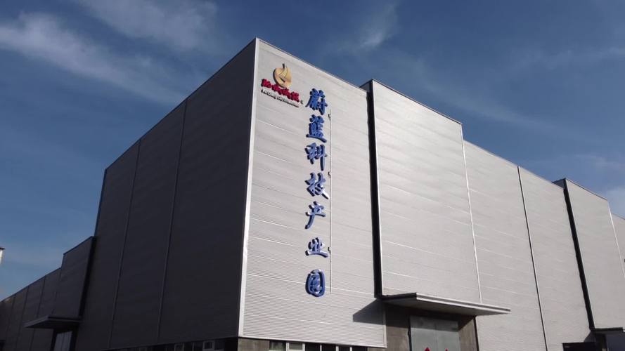 肥城国际网站建设公司