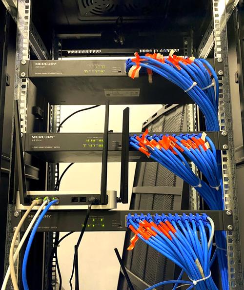 信网科技网络是干嘛的