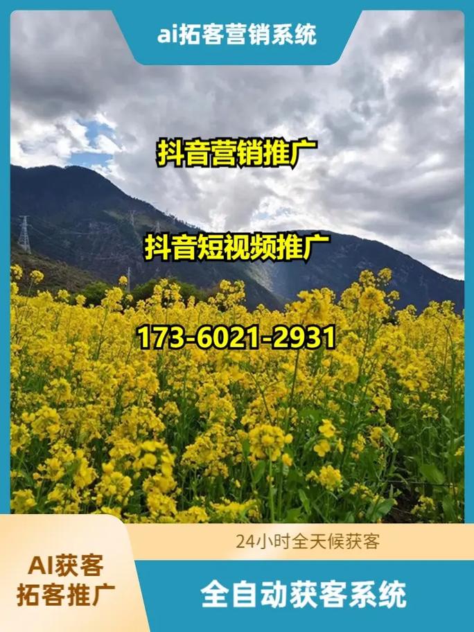 三门峡网络推广系统