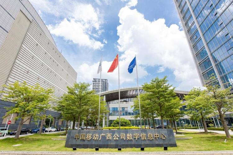 中国网络建设有限公司