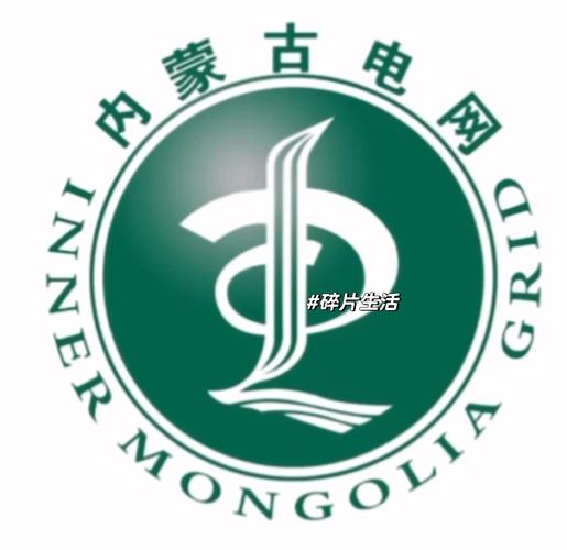 内蒙古出名的网络公司