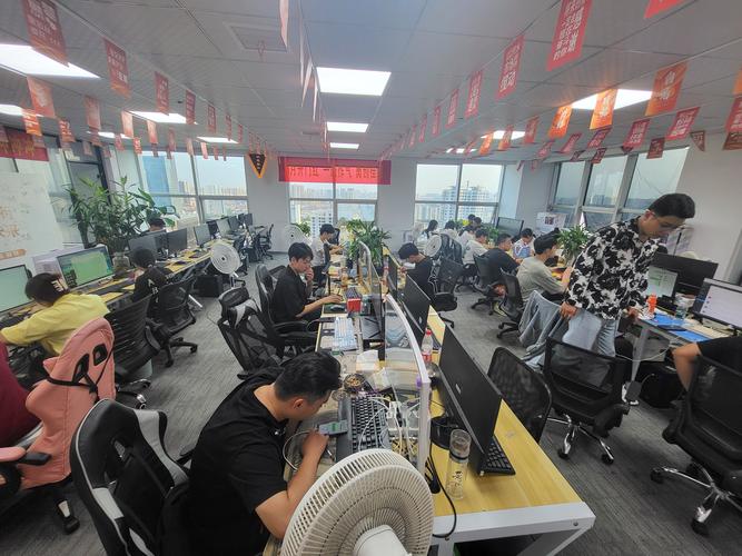 网络公司一般都干嘛